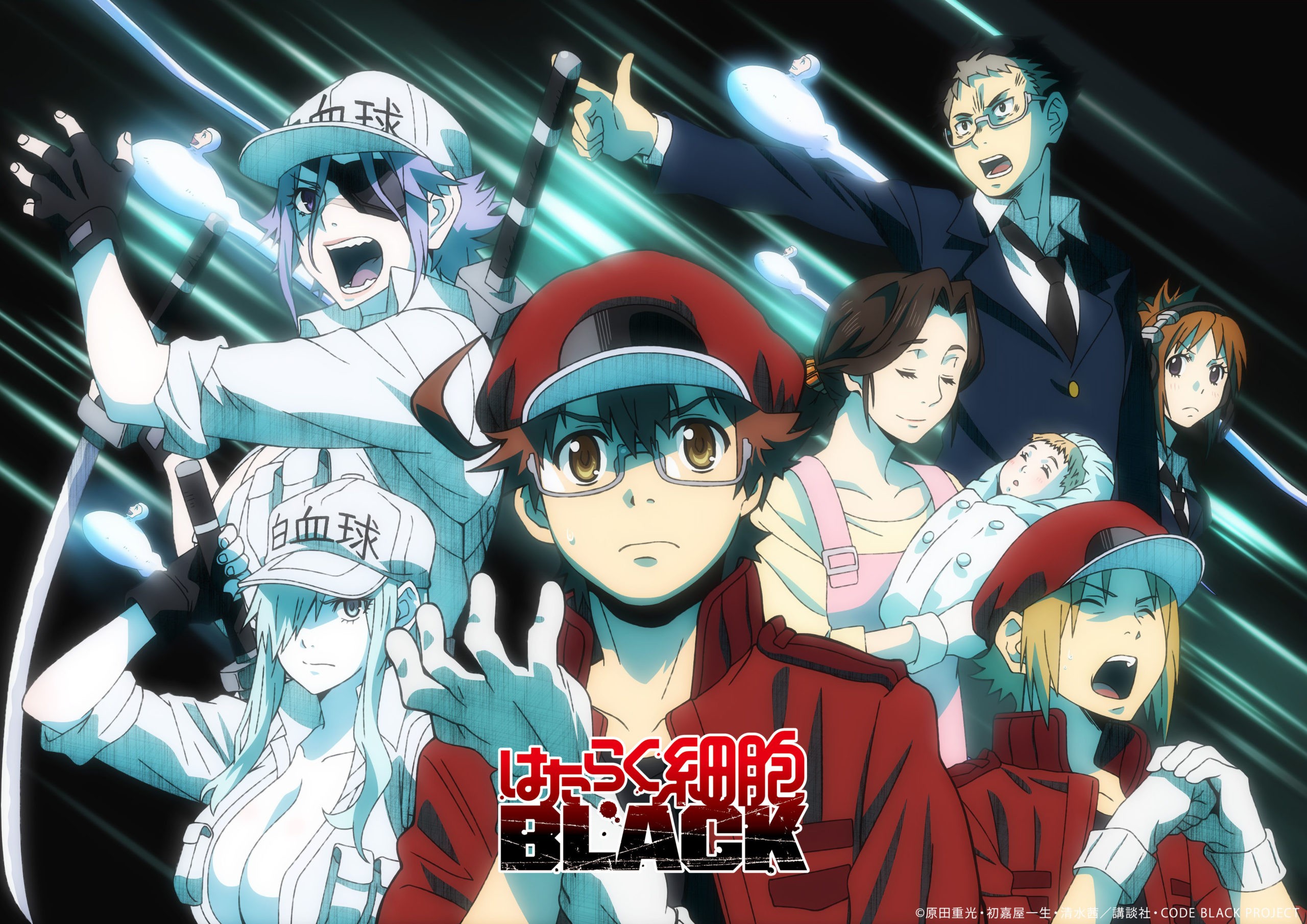 Hataraku Saibou Black